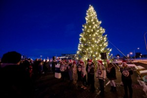 Weihnachtsbaum im Hafen von Reykjavk